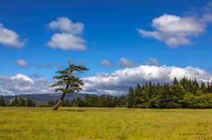 Near Cape Blanco-3773.jpg